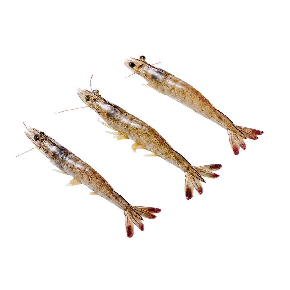 鲜活 南美白对虾 350g/份(14-21只)