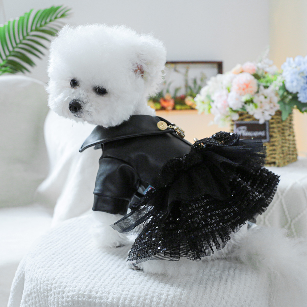 宠物狗狗衣服比熊博美泰迪春秋亮片小皮裙