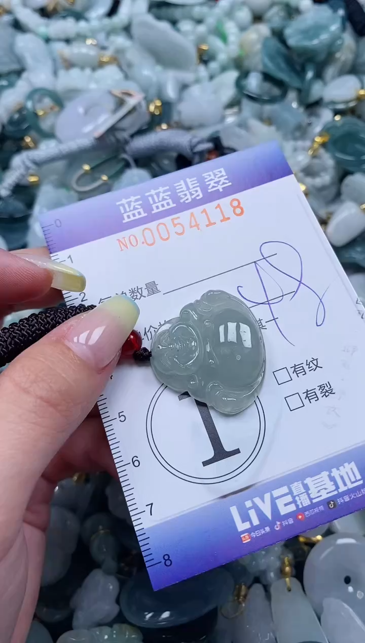 【闪购商品】翡翠颈饰未镶嵌闪购0054118