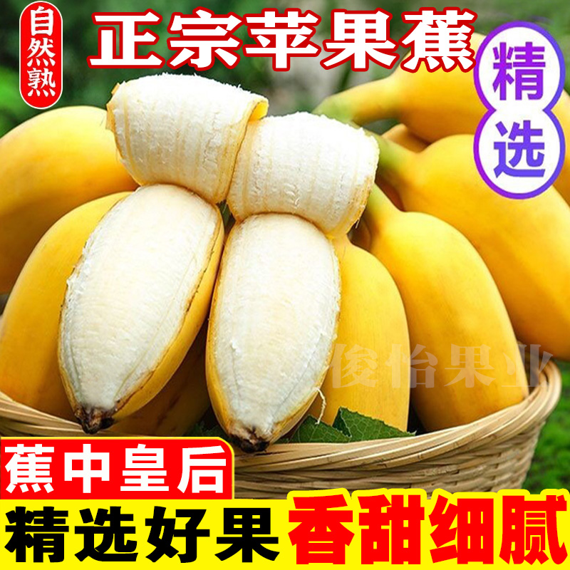 俊怡广西香甜苹果蕉产地发当季新鲜水果时令特产西贡香蕉3/5/9斤