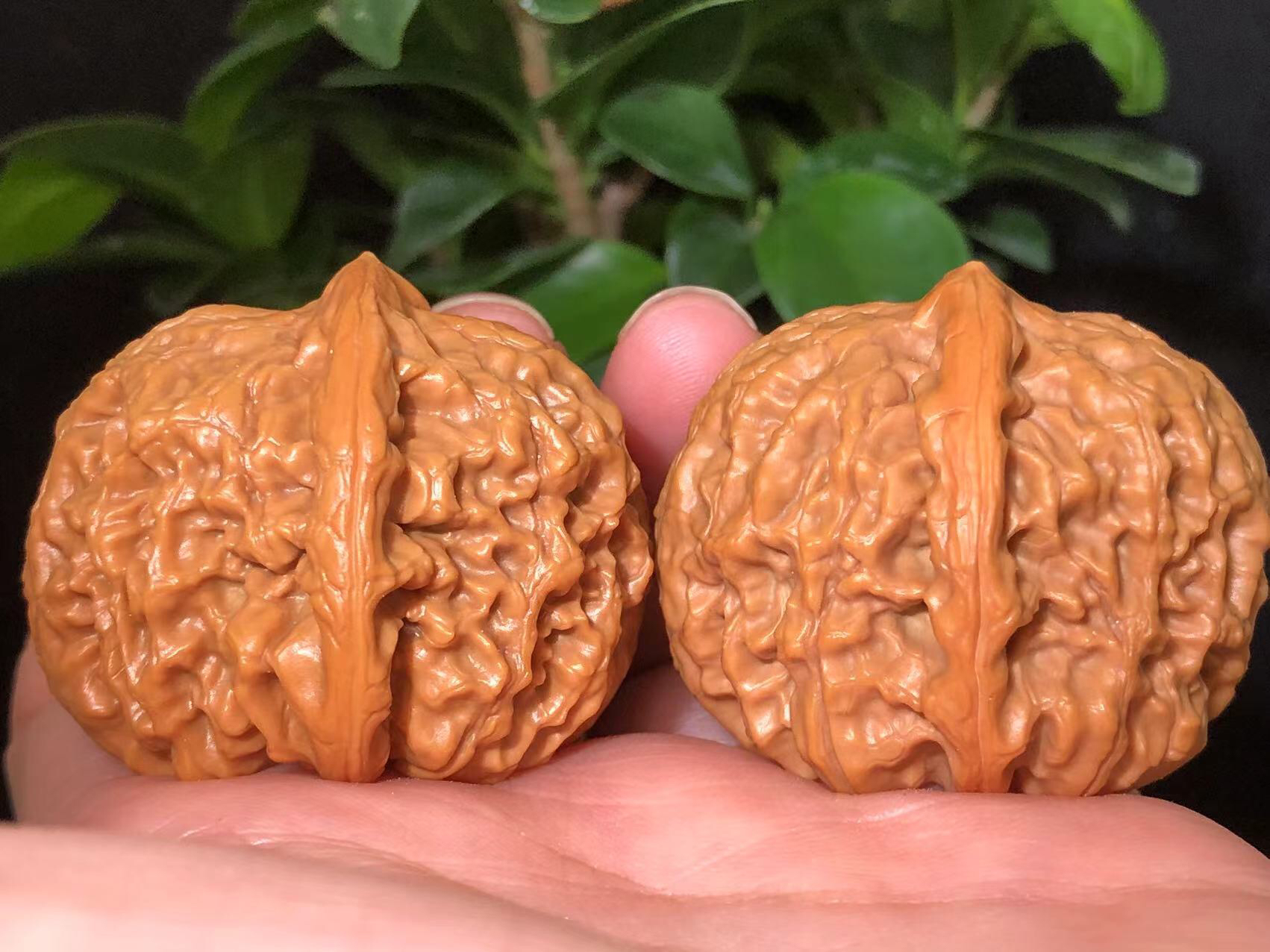 【双12活动】40-43蓟县元宝文玩核桃（送蛤蟆头）