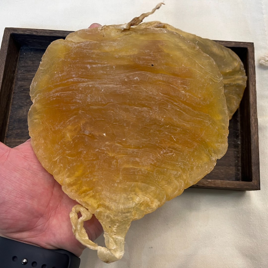 广东鱼胶 斗湖 1-500g