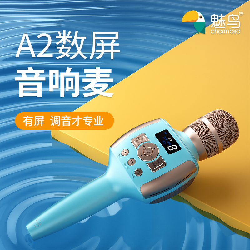 A2音响麦音响声卡话筒一体机无线蓝牙K歌降噪无损唱歌手持麦克风