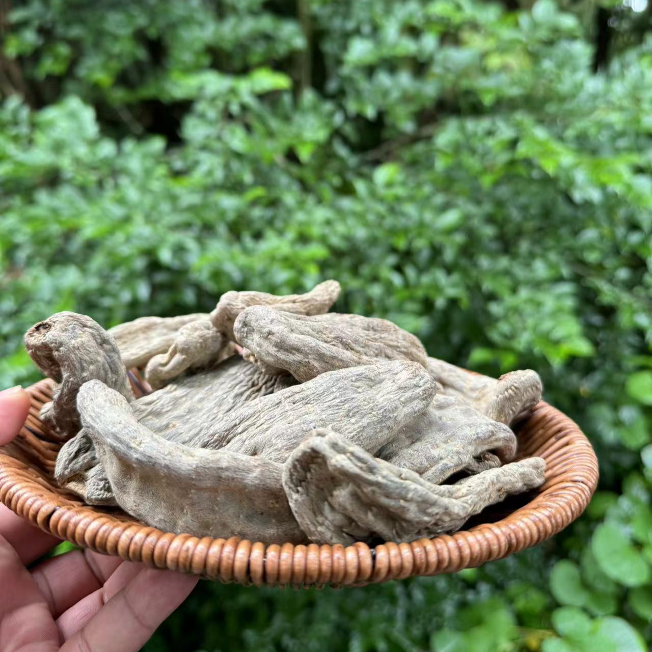 6【乌/忝/嫲/菌】净含量：250g-500g【源头现收】