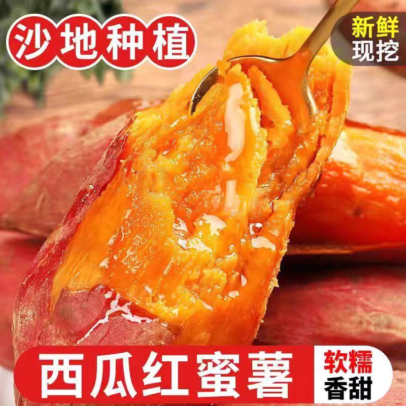 新鲜沙地种植西瓜红红薯软糯香甜番薯现挖红薯净含量包邮