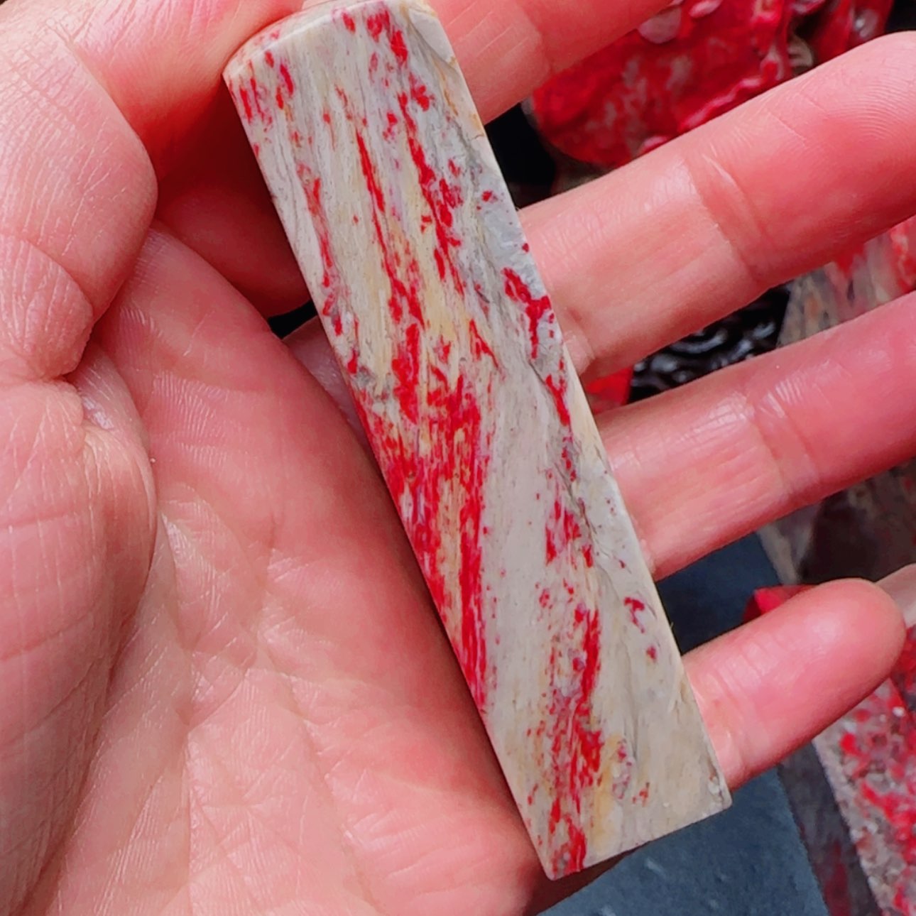 【闪购商品】昌化石王**贝