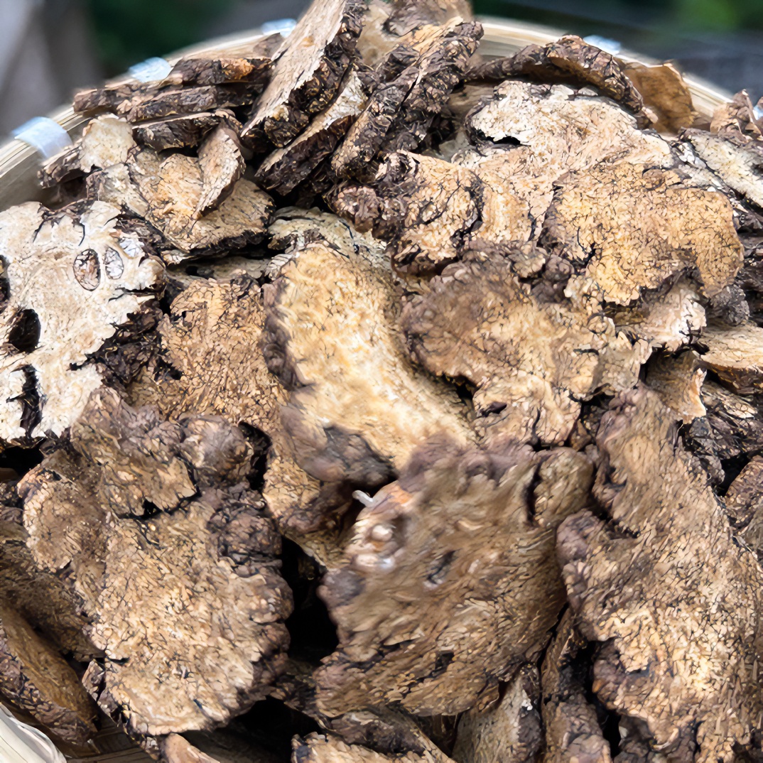 (岭杭家)贵州深山自然生长川芎100g包邮