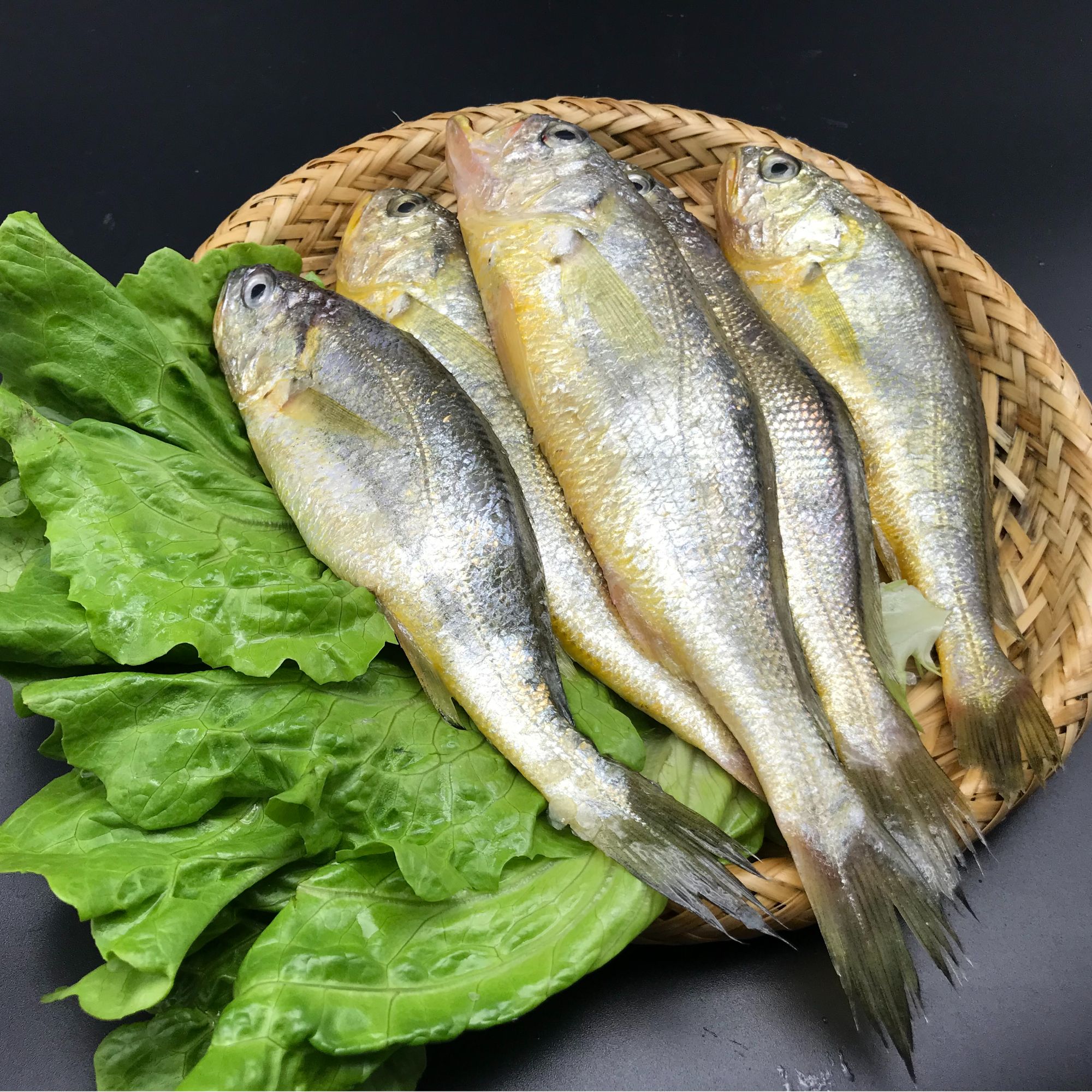 【5斤装】2-3两正宗舟山雷达网野生黄鱼