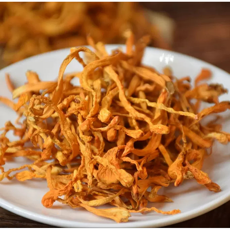 虫草花  特产农产品香菇类土特产