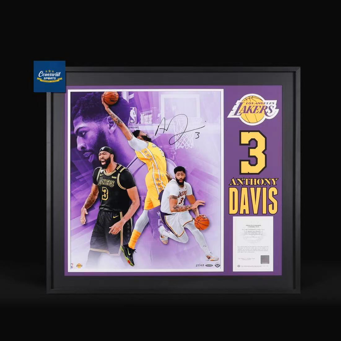 安东尼·戴维斯亲签24寸湖人海报照片装裱版