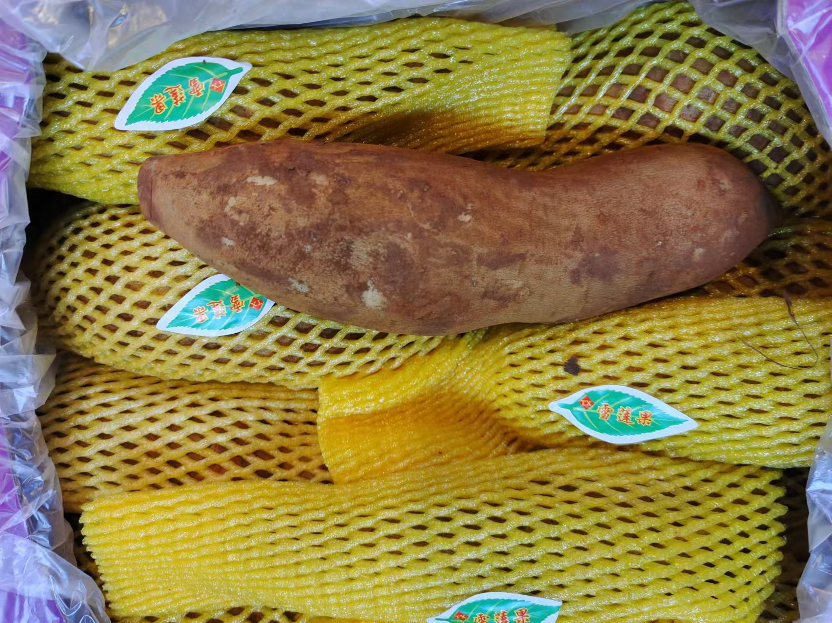 雪莲果约4.6斤/箱