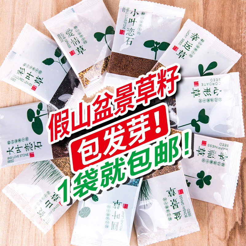 吸水石假山草种子上水石草盆景苔藓草籽幸运草微景观四季常青植物