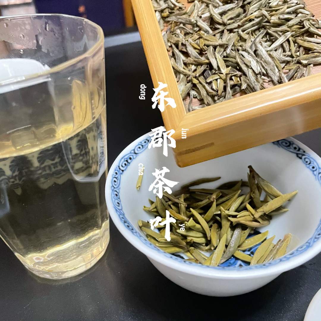 12窨茉莉花茶天花板福建米粒芽（茉莉白毫金龙）袋装茶叶茉莉花茶叶