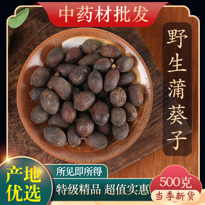 中药材特级野生葵扇子 葵扇籽 葵树籽 葵树子 蒲扇子 蒲葵子500