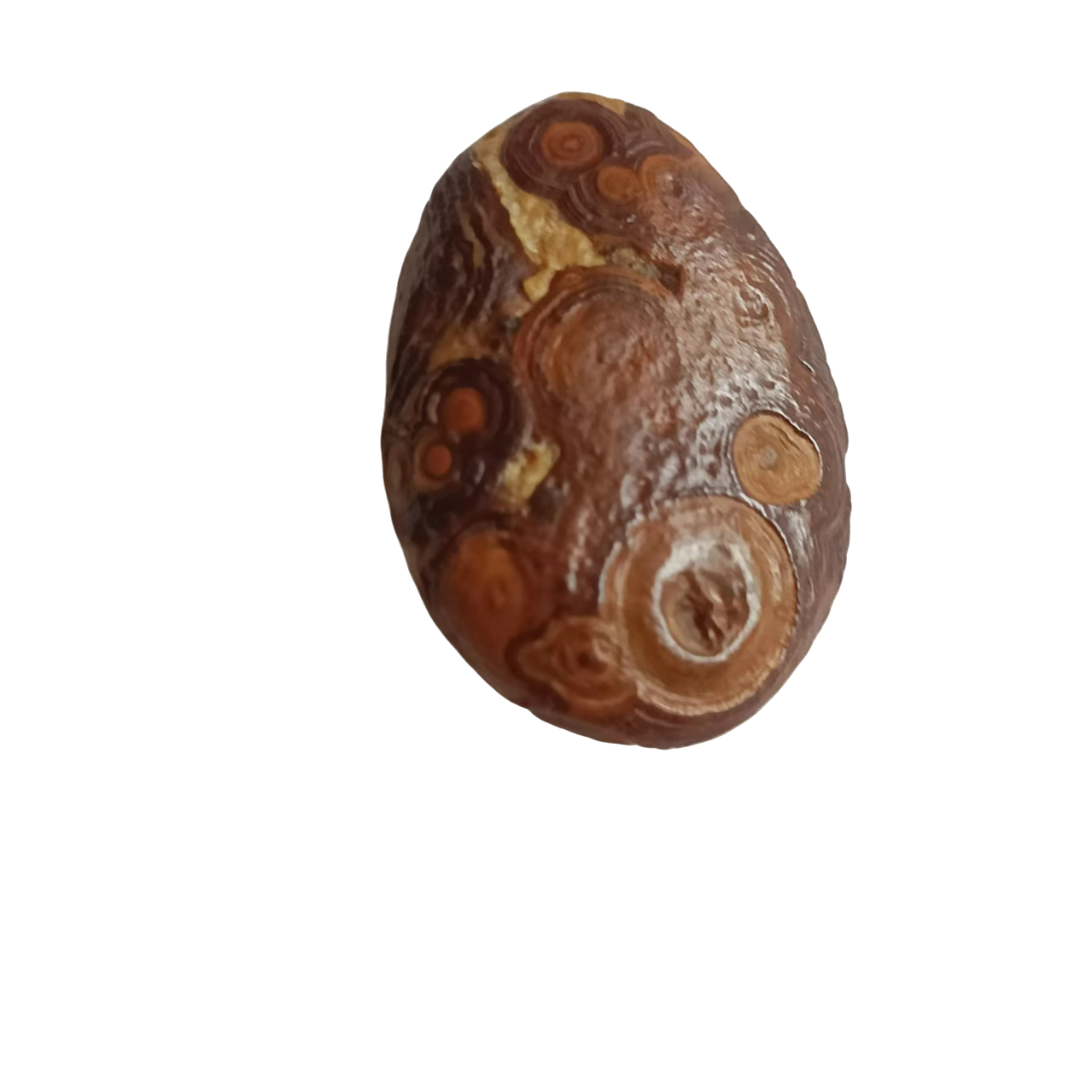 阿拉善奇石摆件盆景石直播间一物一拍