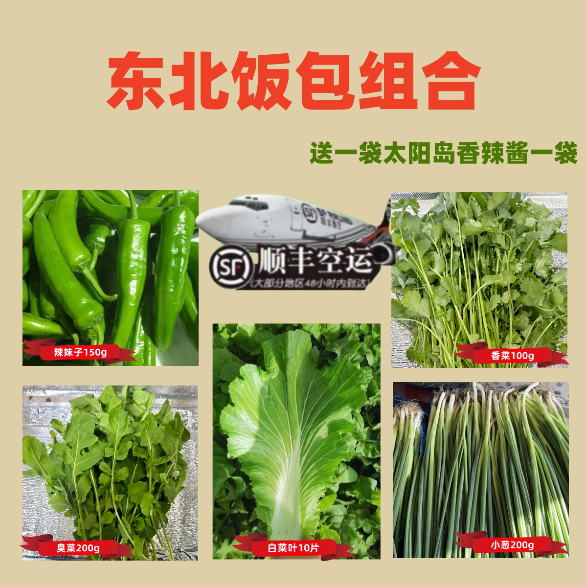 东北蘸酱菜饭包组合5种菜+1袋酱.顺丰空运包邮