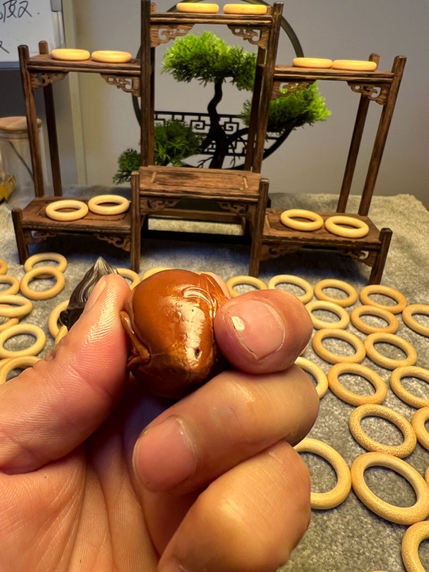 巴西大橄榄。美女生命