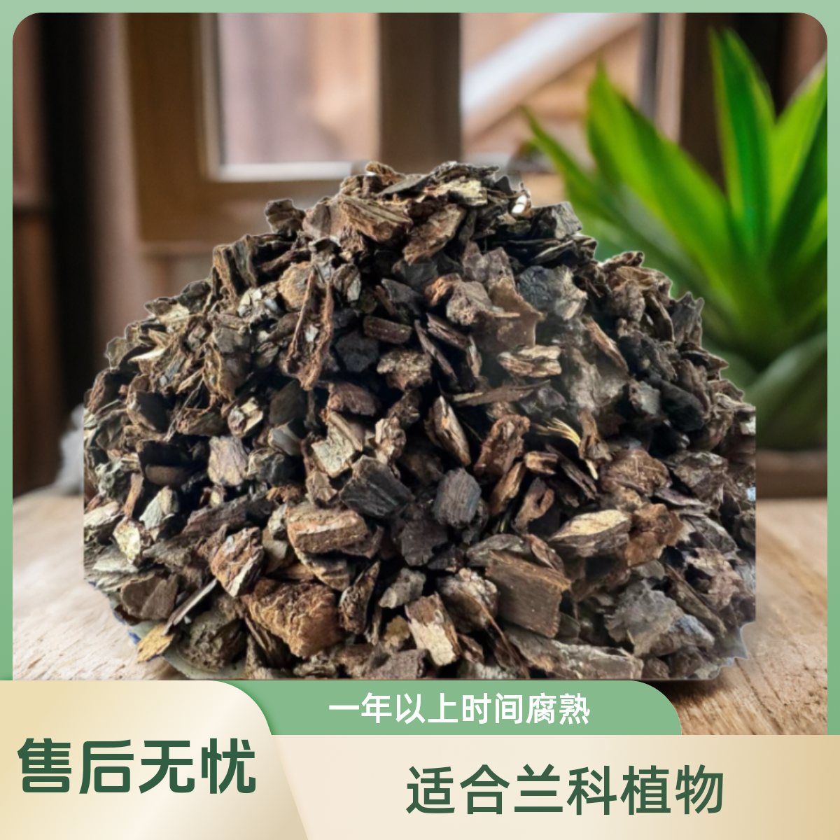 逸霖兰科精品植料松树皮