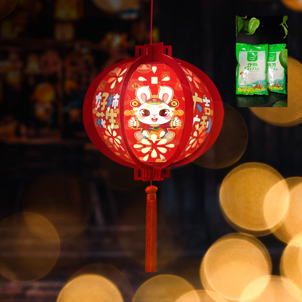 【福利多拍多发600g】非灯笼挂饰 破损丢件有问题联系客服