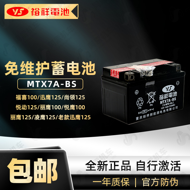 雅马哈正品电瓶迅鹰125尚领125福喜100丽鹰凌鹰RS100免维护蓄电池