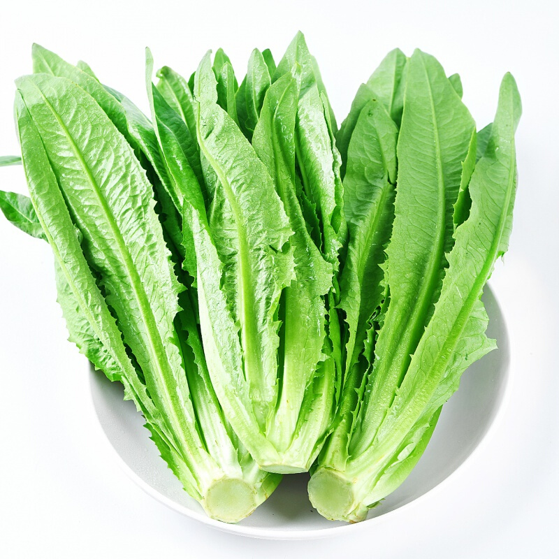 油麦菜约250g/份【同城配送】