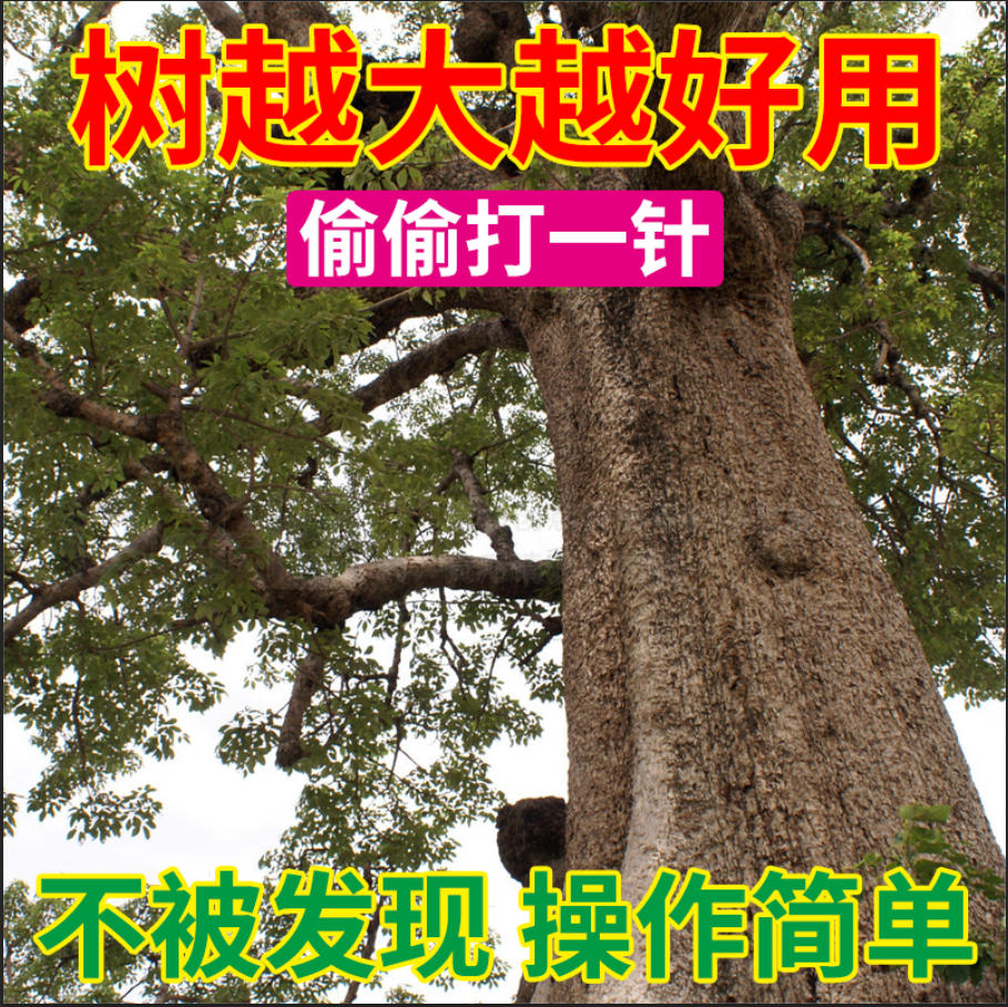 A发现大树便简单打一针操作简单不易一针倒