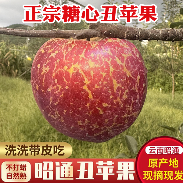 昭通冰糖心丑苹果红露脆甜多汁应季新鲜水果现摘现发产地直发