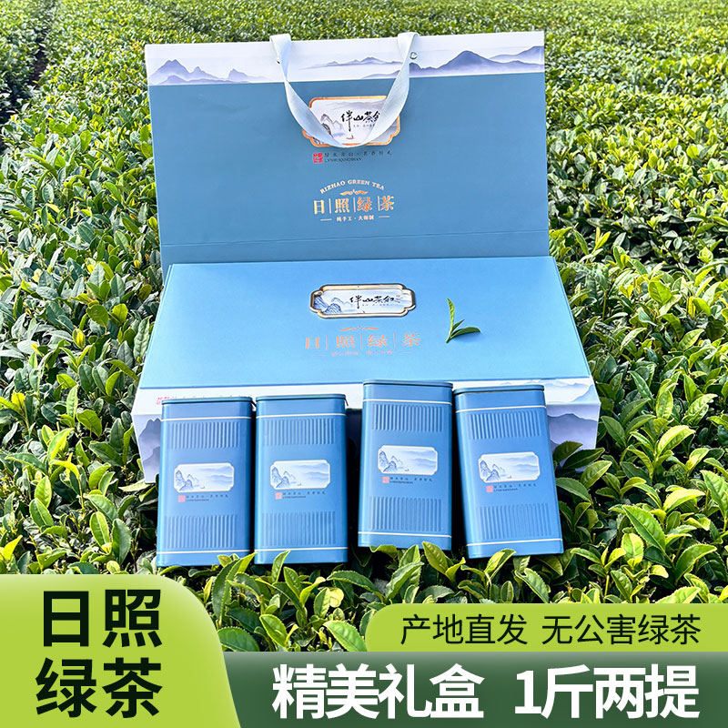 【一斤2提】日照绿茶礼盒2024新秋茶栗香豆香浓香送礼佳品无公害