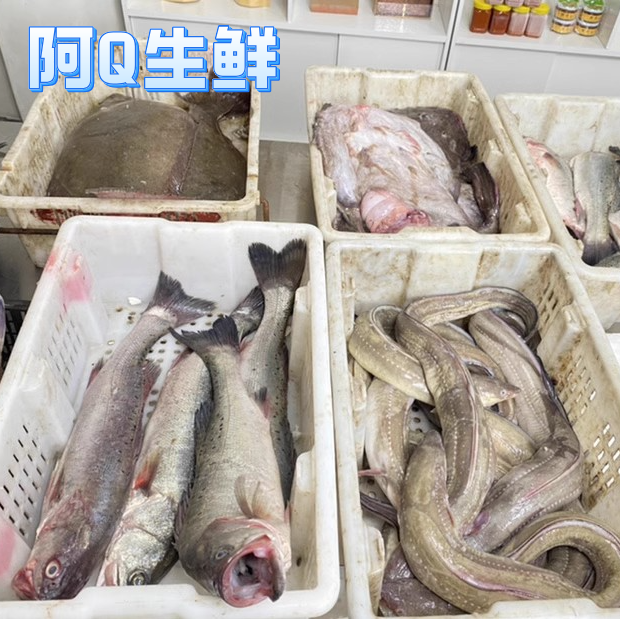 青岛海鲜 鱼虾现称链接