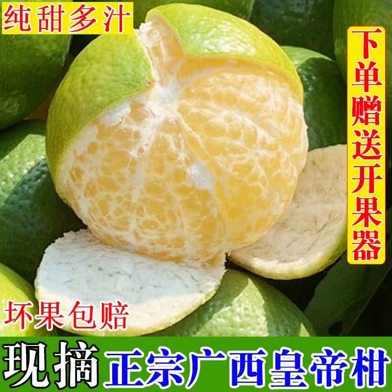 广西当季皇帝柑新鲜水果现货速发2/3/5/9斤清甜多汁整箱包邮