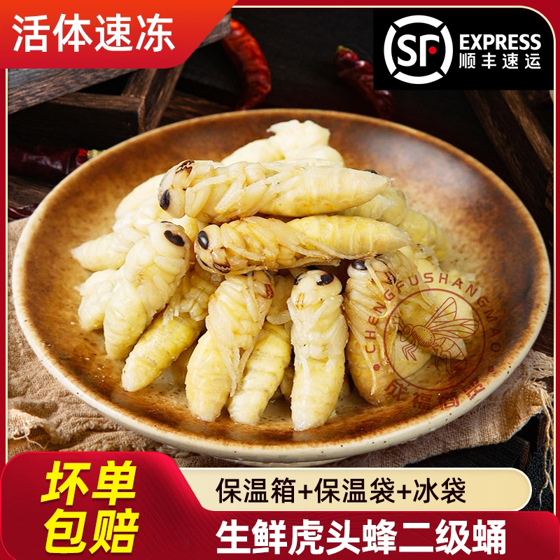 蜂蛹蜂巢蛹虫金环虎头蜂二级新鲜速冻食用生鲜昆虫大个头饱满蜂蛹