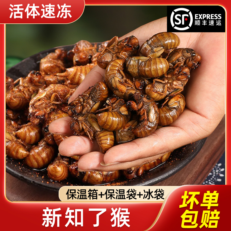 知金了爬叉节流龟山东新鲜活体速爬叉猴唐僧肉特产蝉油炸烧烤