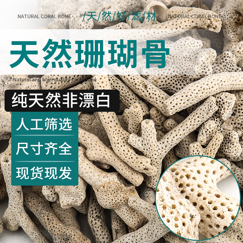 天然非漂白新鲜珊瑚骨稳定水体ph调节净化水质培菌15斤一包