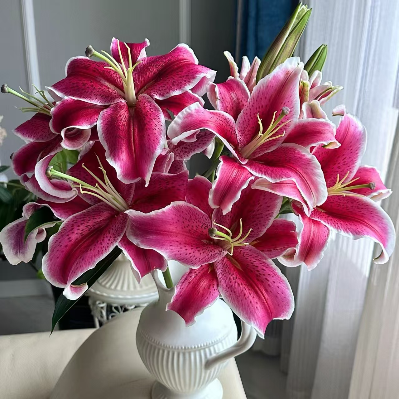 云南鲜花  黑美人香水百合任意 两单顺丰