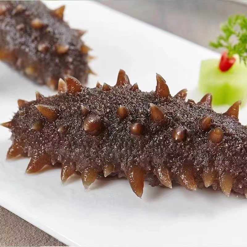 8A级参王鲜食海参8-10头/斤7-9厘米左右