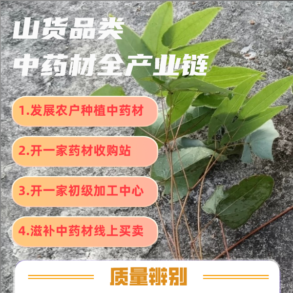 中草根茎草草原材料全产业链