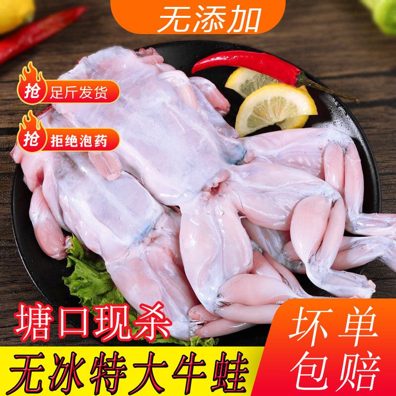 牛蛙鲜活新鲜特大田鸡青蛙肉半成品牛蛙腿蛙肉批冷冻串商用石蛙发