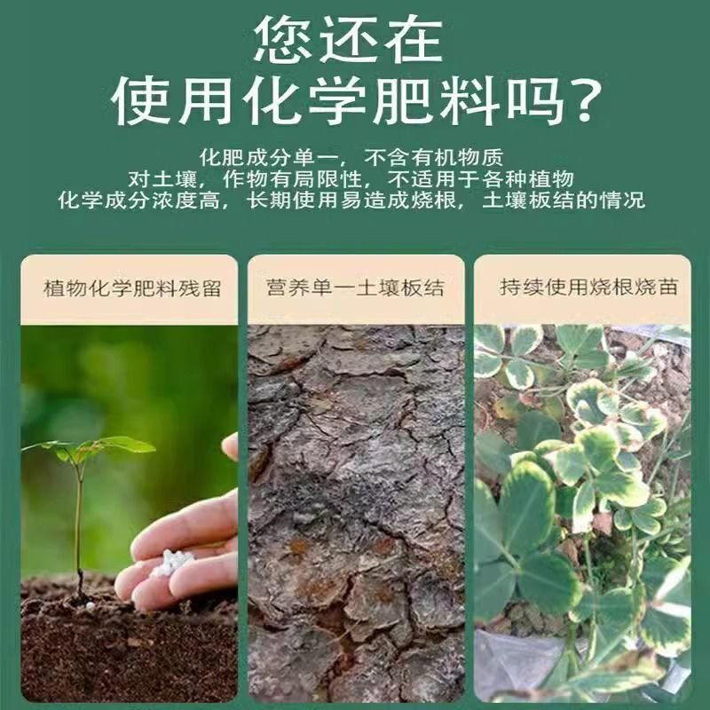 【橘苗专用肥料】花生麸果树苗柑橘苗专用盆栽地栽皆可绿色不烧根