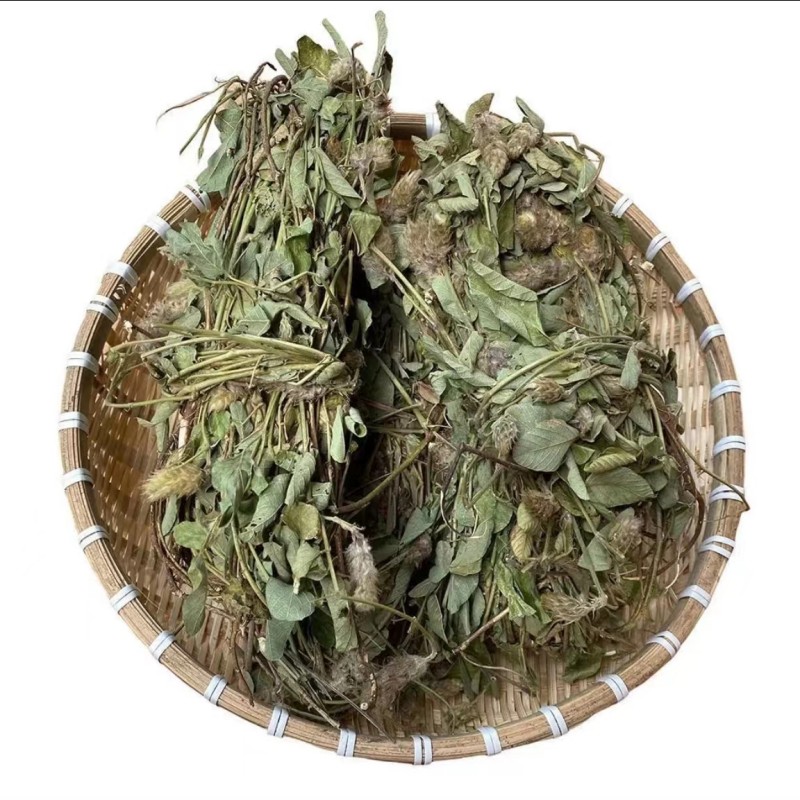 肇庆农村野生咩咩香狸尾草叶250g 500g