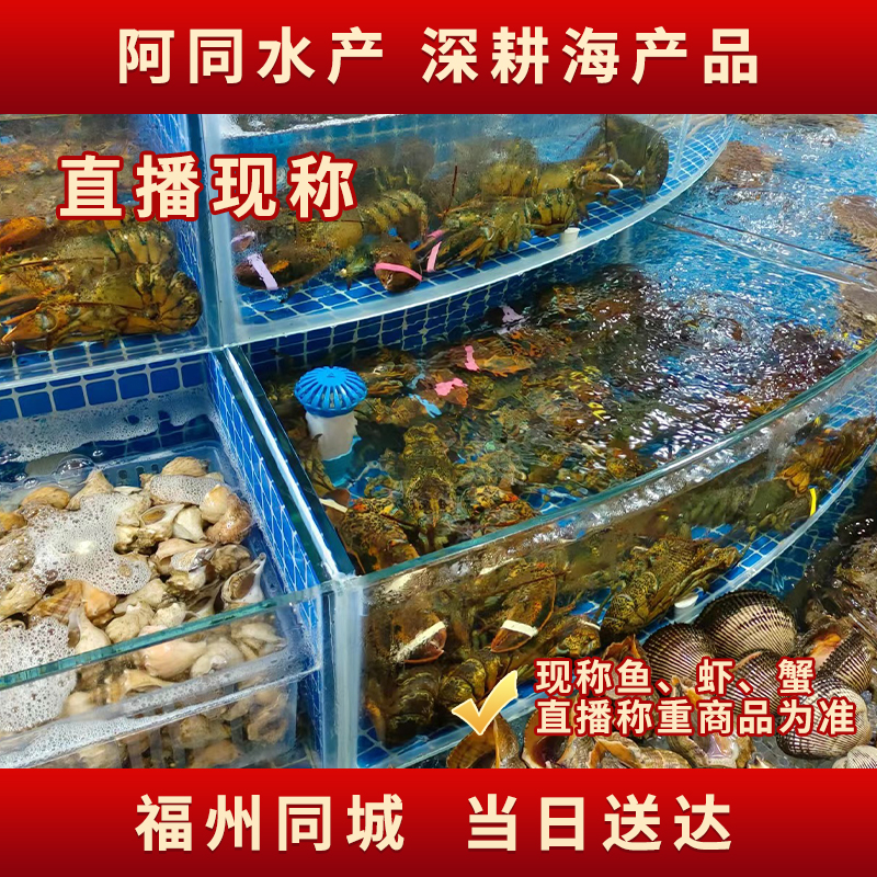 【阿同海鲜】ZHENGXIE鱼虾蟹组合15.2号全国可拍 直播间现称