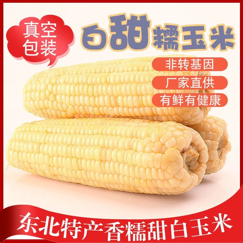 东北糯玉米白甜糯玉米真空包装糯玉米10棒一箱粘苞米大棒