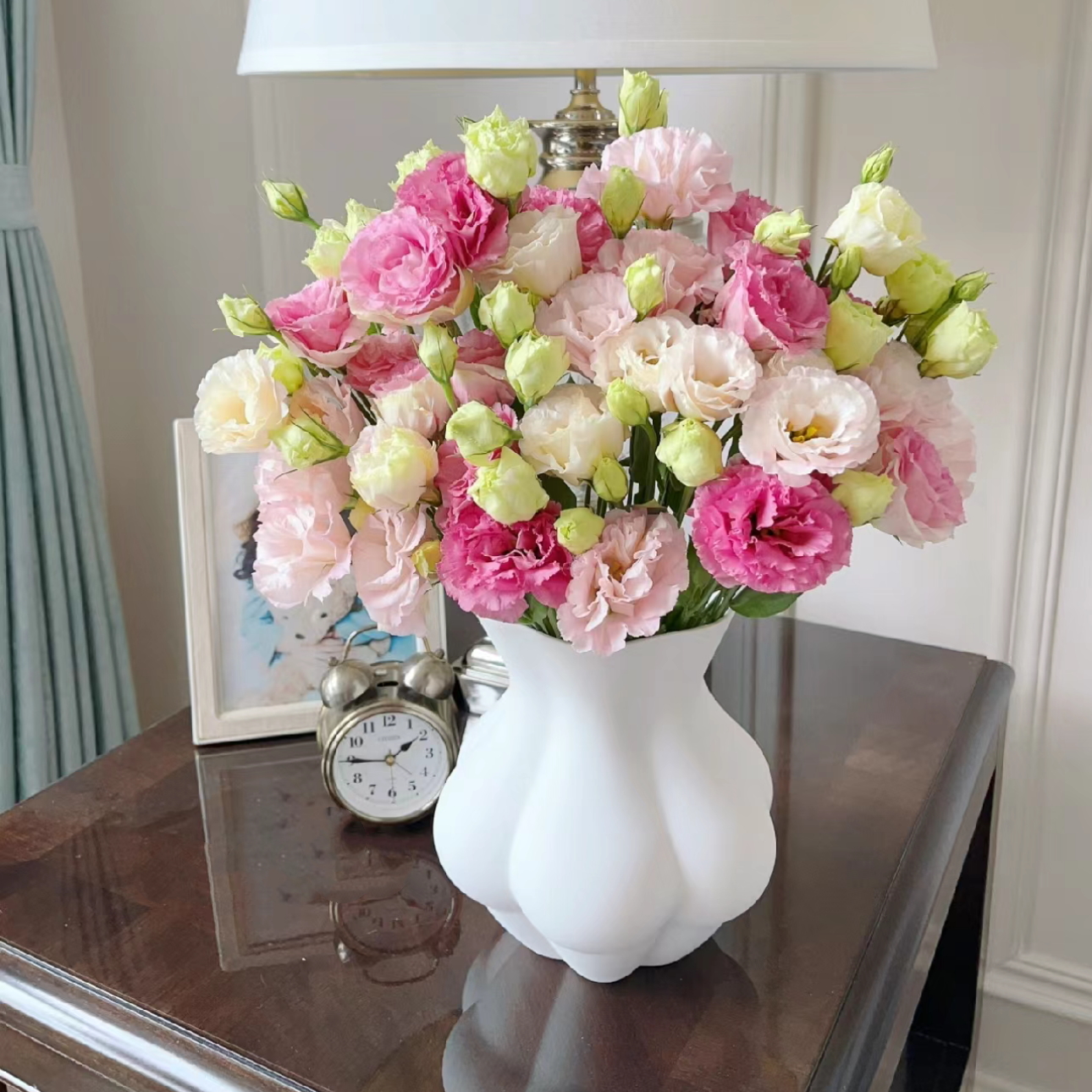 【杨鹏鲜花】不挑色洋桔梗 云南鲜花包邮