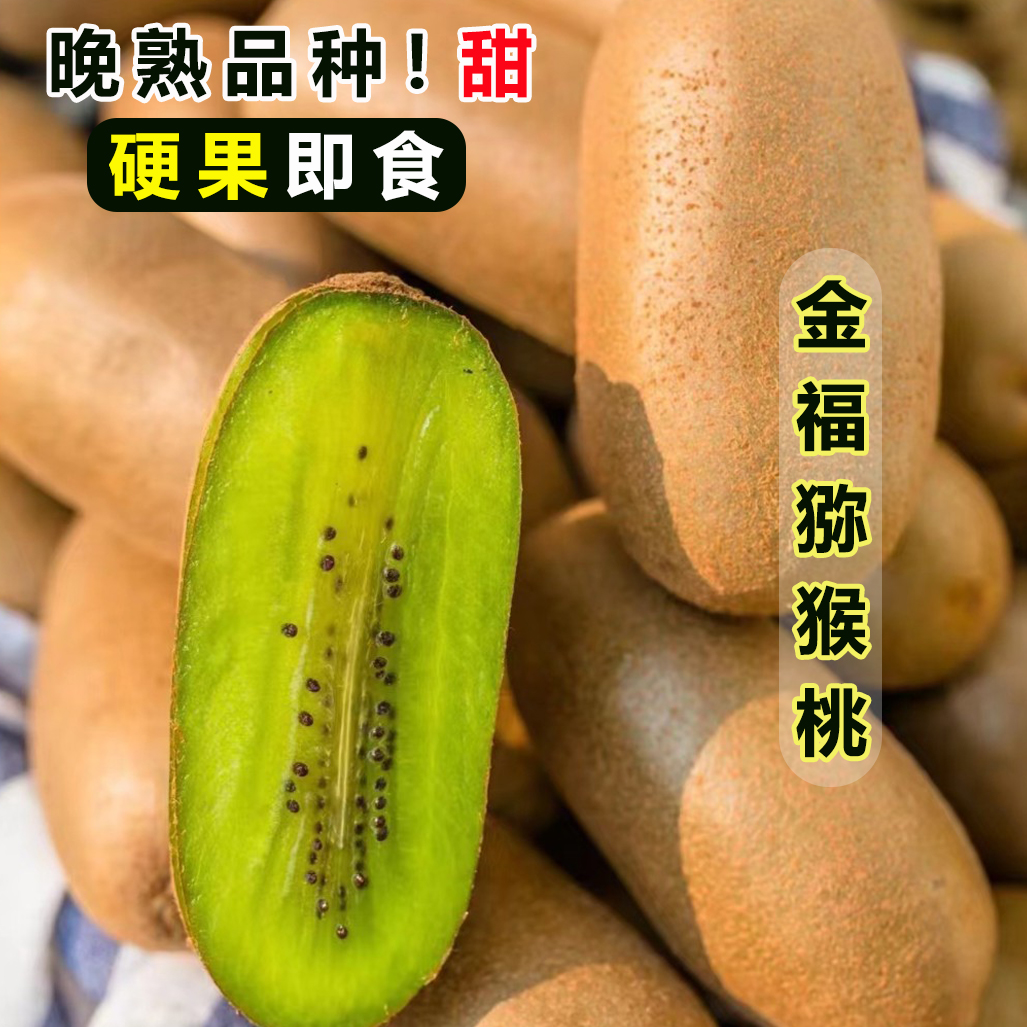 【中通快递】陕西周至金福猕猴桃硬果微弹削皮即食包邮