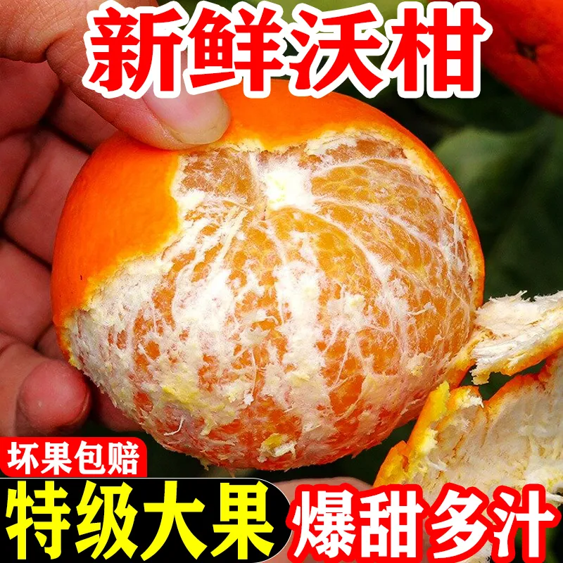 【抢购中】正宗广西武鸣沃柑1/5/9斤新鲜蜜柑橘品种皮薄爽多汁甜蜜