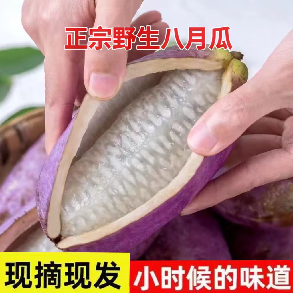 [包邮]八月瓜新鲜水果网红野果八月炸当季现摘预知子牛腰瓜野香蕉