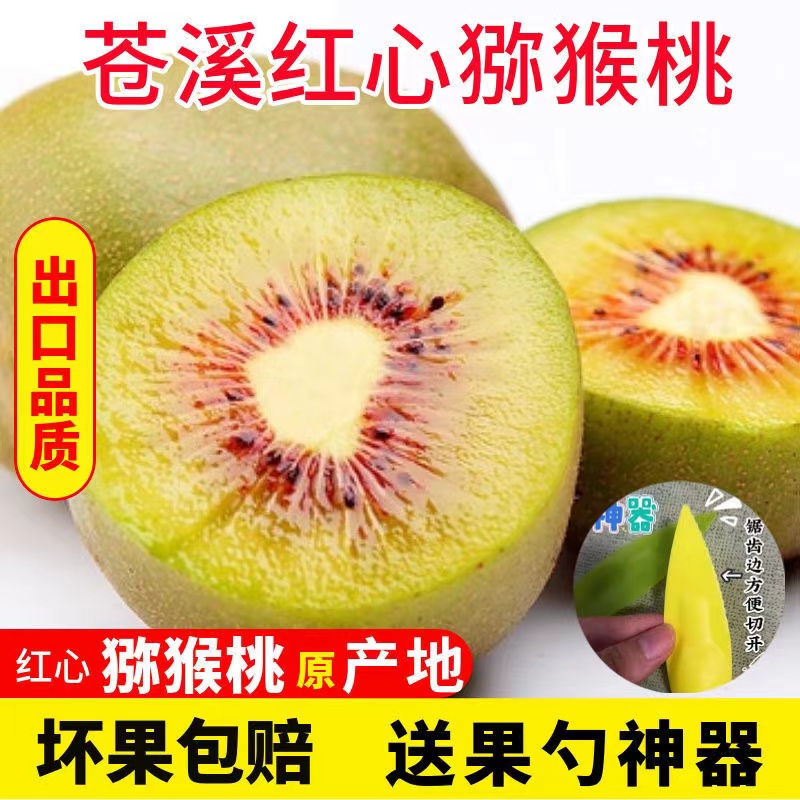 【福利款】正宗四川苍溪红心猕猴桃纯甜无酸孕妇小孩可吃现摘包邮