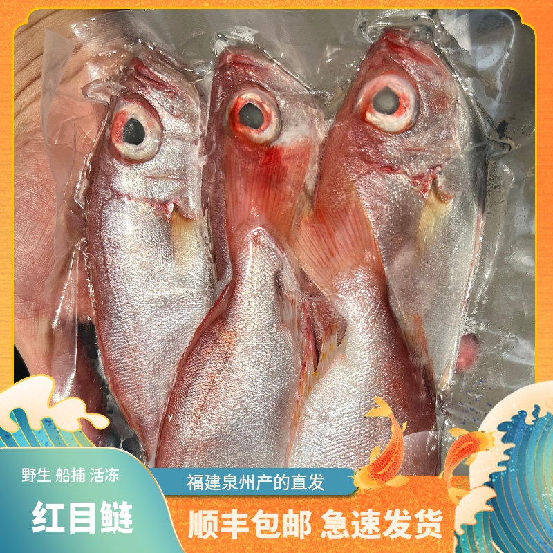 福建船捕【红目鲢】省内当天送达