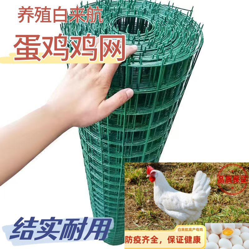 白来航养殖专用网散养网