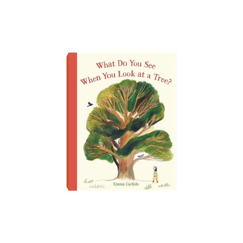 筑桥What Do You See When You Look at a Tree?  平装原版引进