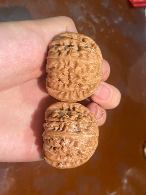 文玩核桃 白狮子 39